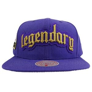 Fred Segal Mitchell & Ness Snapback Hat Cap 3D Logo Woven Label Purple NWT
